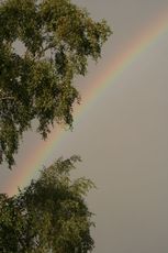 Regenbogen-A4.jpg